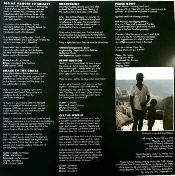 LP Devon Williams: A Tear In The Fabric