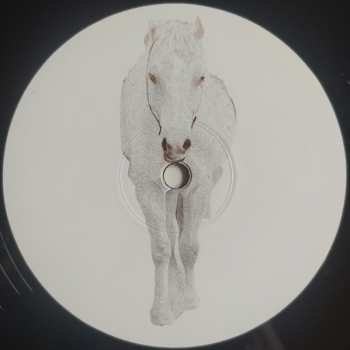 LP Die Maßnahme: Sommer Kaputt