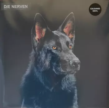Die Nerven