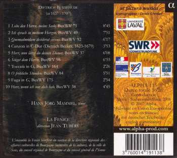 CD Dieterich Buxtehude: O Fröhliche Stunden