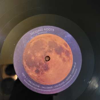 LP DiggingRoots: Zhawenim