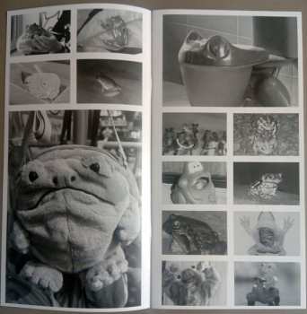 LP DIIV: Frog In Boiling Water CLR | LTD