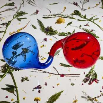 Album Dirty Projectors: Lamp Lit Prose