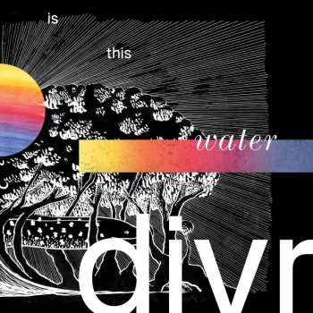 CD Divr: Is This Water