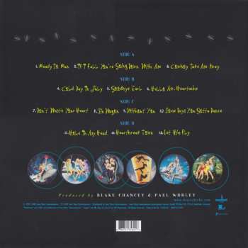 2LP Dixie Chicks: Fly