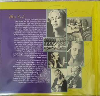 2LP Dixie Chicks: Fly