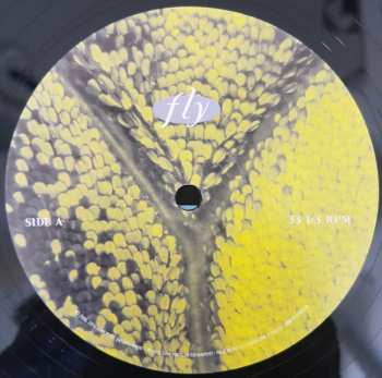 2LP Dixie Chicks: Fly