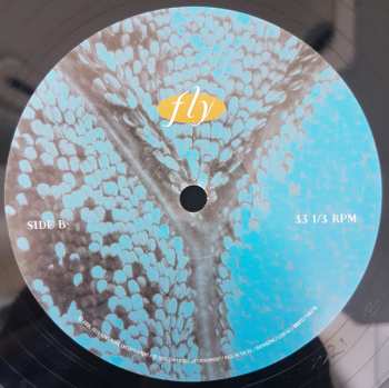 2LP Dixie Chicks: Fly