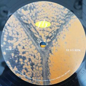 2LP Dixie Chicks: Fly