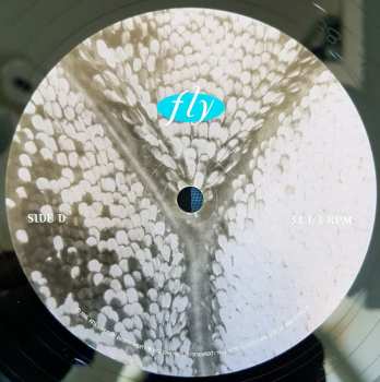 2LP Dixie Chicks: Fly