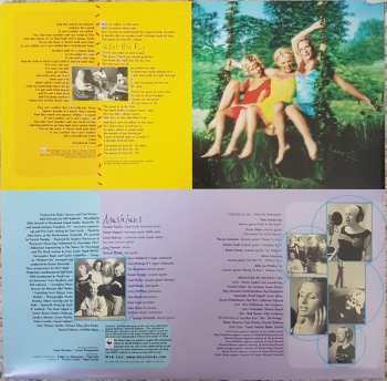 2LP Dixie Chicks: Fly