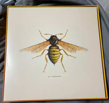 10LP/Box Set Doctor Who: Hornets' Nest CLR | LTD