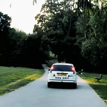 Dog Unit: Turn Right and Right Again
