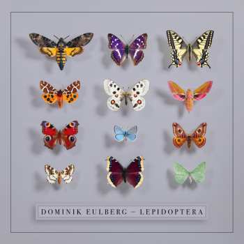 CD Dominik Eulberg: Lepidoptera