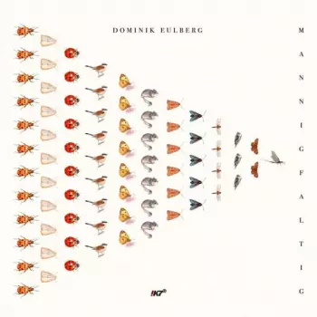Dominik Eulberg: Mannigfaltig