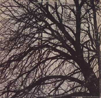 LP Donovan: Donovan's Greatest Hits