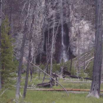 CD Donovan's Brain: Turned Up Later