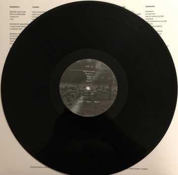 LP Dorota Nvotová: More