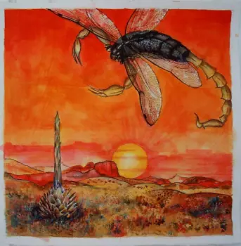 The Southern Unknown