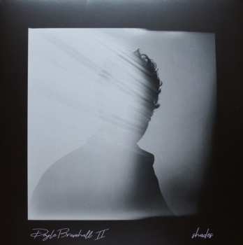 2LP Doyle Bramhall II: Shades