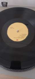 LP Dr. Dog: Shame, Shame