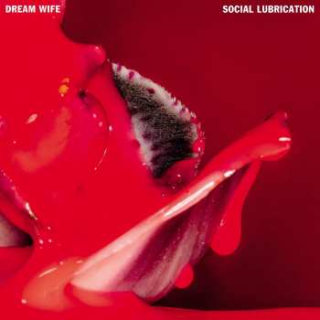 LP/SP Dream Wife: Social Lubrication DLX | LTD | CLR