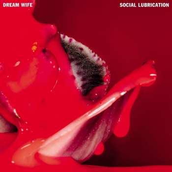 CD Dream Wife: Social Lubrication