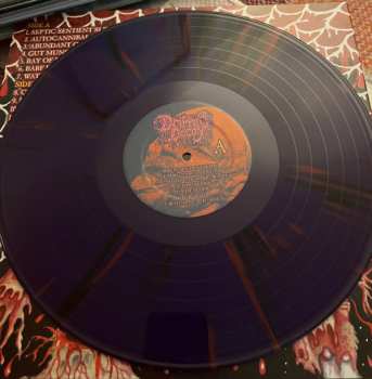 LP Dripping Decay: Festering Grotesqueries CLR | LTD