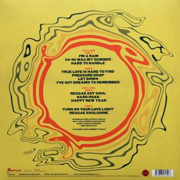 2LP Gov't Mule: Dub Side Of The Mule