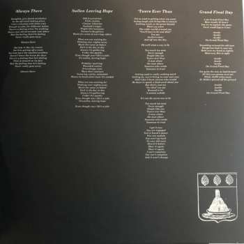 LP Ducks Ltd.: Modern Fiction LTD | CLR