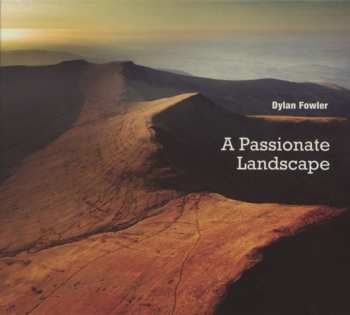 CD Dylan Fowler: A Passionate Landscape