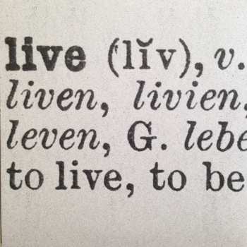 3LP Neil Young: Earth