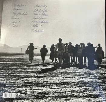 2LP Edward Sharpe And The Magnetic Zeros: Up From Below CLR | LTD