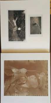 3LP Eels: Blinking Lights And Other Revelations CLR