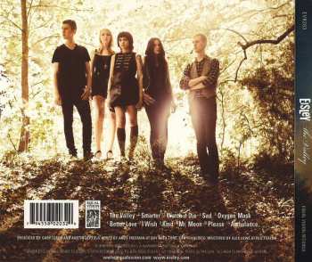 CD Eisley: The Valley