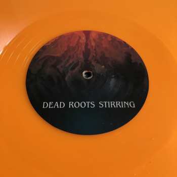 2LP Elder: Dead Roots Stirring CLR