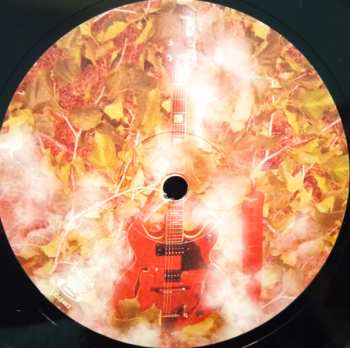 LP Electronicat: Dans Les Bois