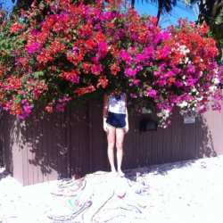 CD Elf Power: Sunlight On The Moon