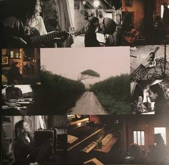 LP Eliza Shaddad: Future