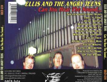 CD Ellis And The Angry Teens: Can You Hear The Sound...