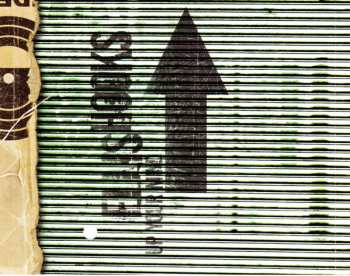 CD Ellis Hooks: Up Your Mind