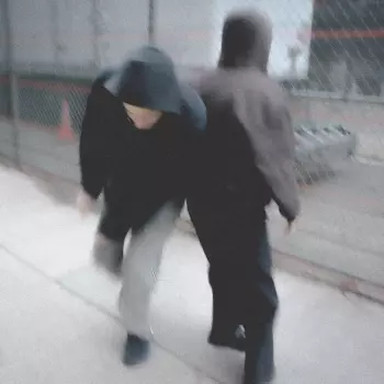 Seeing Is Forgetting