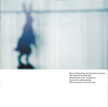 CD Eluvium: Talk Amongst The Trees