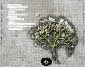 CD Emily Jane White: Dark Undercoat