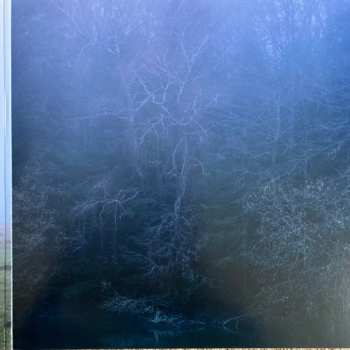 LP Emily Loizeau: Icare