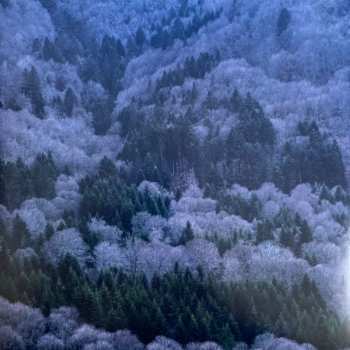 LP Emily Loizeau: Icare