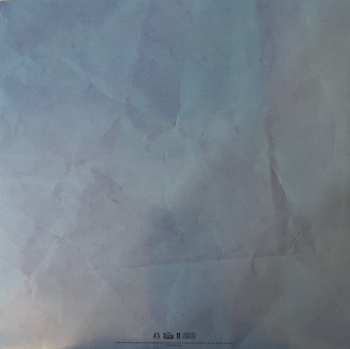 2LP Eminem: The Death Of Slim Shady (Coup De Grâce) CLR | LTD