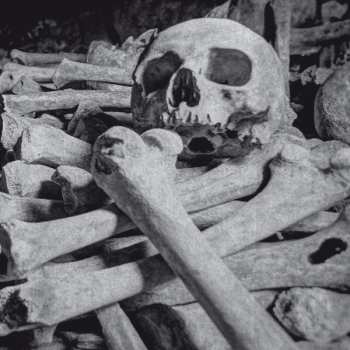 CD Encoffination: Necros Obscuritas
