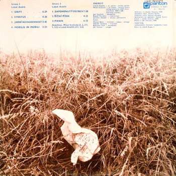 LP Energit: Piknik