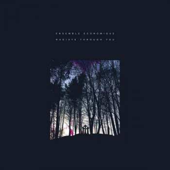 CD Ensemble Economique: Radiate Through You